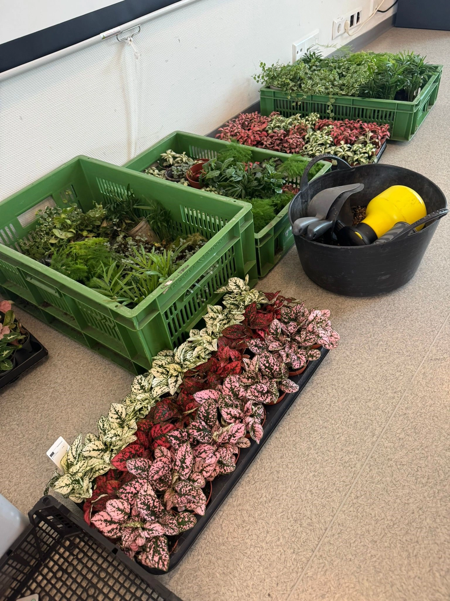 Workshop Tiny Jungle